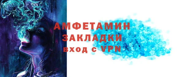 гидра Богданович