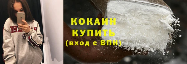 гидра Богданович