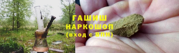гидра Богданович