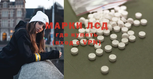 гидра Богданович