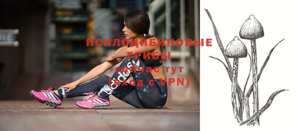 гидра Богданович