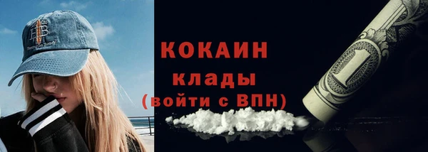 гидра Богданович