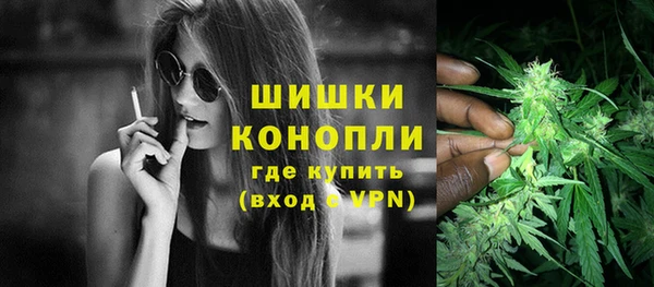 прущий лед Богородицк