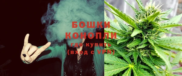 прущий лед Богородицк