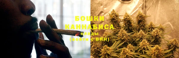 гидра Богданович